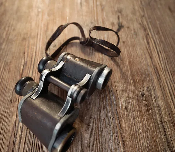 Hotell Forsthofgut 4*