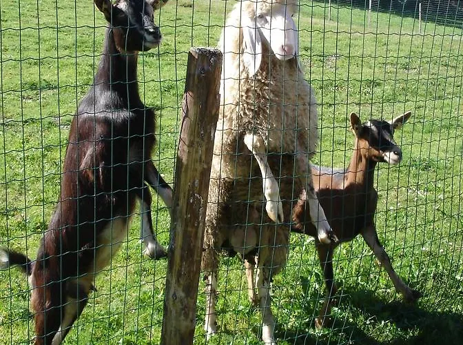 Hotell Forsthofgut 4*